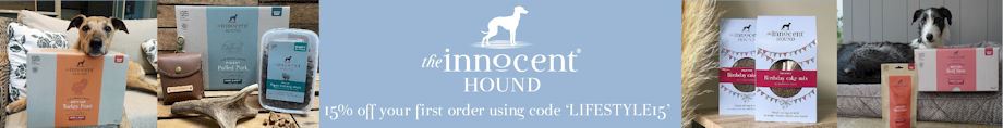 Innocent Hound LB