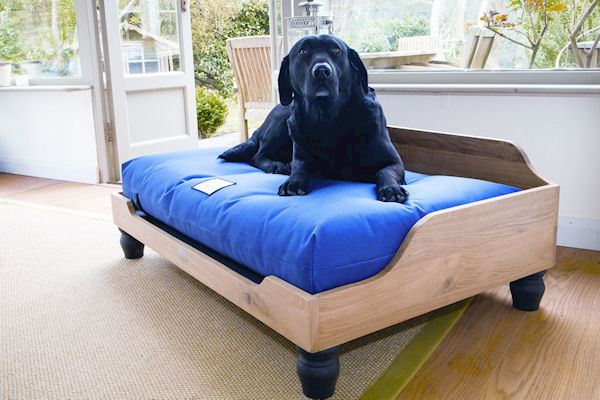 Berkeley Dog Beds