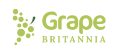 Grape Britannia