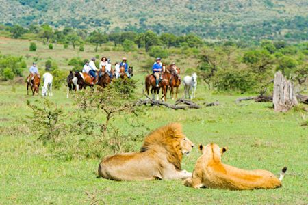 African Horse Safaris